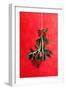 Painted Mistletoe-Treechild-Framed Giclee Print