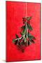 Painted Mistletoe-Treechild-Mounted Giclee Print