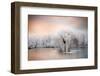 Painted Morning-Philippe Sainte-Laudy-Framed Photographic Print