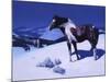 Painted Night-Julie Chapman-Mounted Art Print