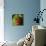 Painted Pear I-null-Giclee Print displayed on a wall