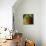 Painted Pear I-null-Giclee Print displayed on a wall