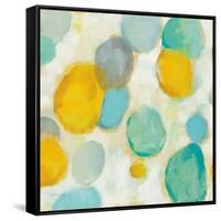 Painted Pebbles II-Silvia Vassileva-Framed Stretched Canvas