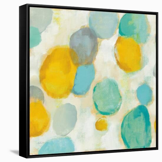 Painted Pebbles II-Silvia Vassileva-Framed Stretched Canvas