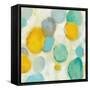 Painted Pebbles II-Silvia Vassileva-Framed Stretched Canvas