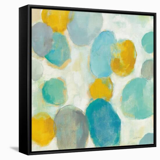 Painted Pebbles III-Silvia Vassileva-Framed Stretched Canvas