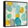 Painted Pebbles III-Silvia Vassileva-Framed Stretched Canvas