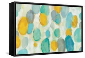 Painted Pebbles-Silvia Vassileva-Framed Stretched Canvas