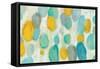 Painted Pebbles-Silvia Vassileva-Framed Stretched Canvas