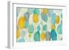 Painted Pebbles-Silvia Vassileva-Framed Premium Giclee Print