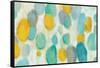 Painted Pebbles-Silvia Vassileva-Framed Stretched Canvas