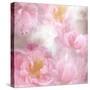 Painted Peonies-Kimberly Allen-Stretched Canvas