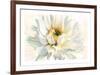 Painted Petals I-Christine Elizabeth-Framed Giclee Print