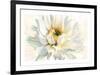 Painted Petals I-Christine Elizabeth-Framed Giclee Print