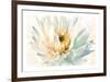 Painted Petals II-Christine Elizabeth-Framed Giclee Print