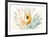 Painted Petals II-Christine Elizabeth-Framed Giclee Print