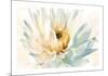 Painted Petals II-Christine Elizabeth-Mounted Giclee Print