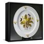 Painted Plate Decorated with Primula Vulgaris-null-Framed Stretched Canvas