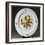 Painted Plate Decorated with Primula Vulgaris-null-Framed Giclee Print