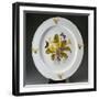 Painted Plate Decorated with Primula Vulgaris-null-Framed Giclee Print