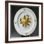 Brown Frame
