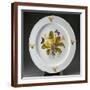 Brown Frame