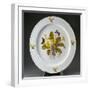 White Frame
