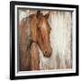 Painted Pony-Elizabeth Jardine-Framed Art Print