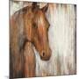 Painted Pony-Elizabeth Jardine-Mounted Art Print