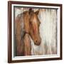 Painted Pony-Elizabeth Jardine-Framed Art Print