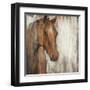 Painted Pony-Liz Jardine-Framed Art Print