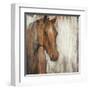 Painted Pony-Liz Jardine-Framed Art Print