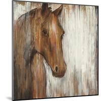 Painted Pony-Liz Jardine-Mounted Art Print