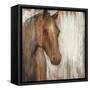 Painted Pony-Liz Jardine-Framed Stretched Canvas