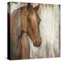 Painted Pony-Liz Jardine-Stretched Canvas