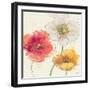 Painted Poppies IV-Katie Pertiet-Framed Art Print