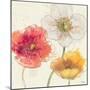 Painted Poppies IV-Katie Pertiet-Mounted Art Print
