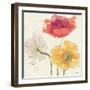 Painted Poppies V-Katie Pertiet-Framed Art Print