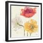 Painted Poppies V-Katie Pertiet-Framed Art Print