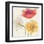 Painted Poppies V-Katie Pertiet-Framed Art Print