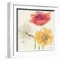 Painted Poppies V-Katie Pertiet-Framed Art Print