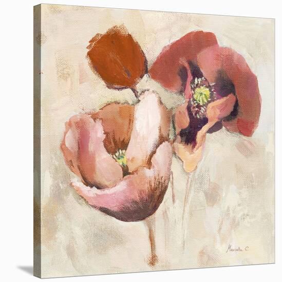 Painted Poppies-Marietta Cohen-Stretched Canvas