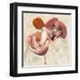 Painted Poppies-Marietta Cohen-Framed Art Print