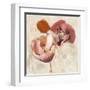 Painted Poppies-Marietta Cohen-Framed Art Print