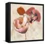 Painted Poppies-Marietta Cohen-Framed Stretched Canvas