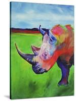 Painted Rhino-Corina St. Martin-Stretched Canvas