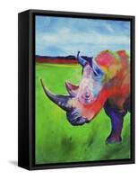 Painted Rhino-Corina St. Martin-Framed Stretched Canvas