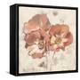 Painted Roses-Marietta Cohen-Framed Stretched Canvas