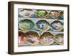 Painted Shells, Kyoto, Japan-Rob Tilley-Framed Photographic Print