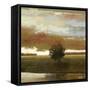 Painted Sky I-Norman Wyatt Jr.-Framed Stretched Canvas